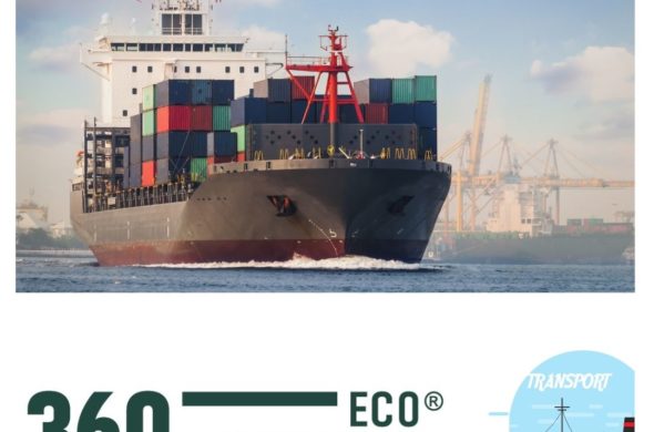 Packaging For International Maritime Transport – Wood packaging