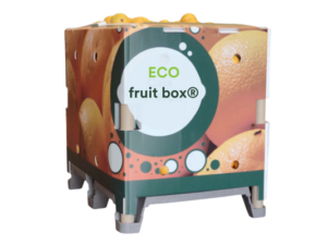 Eco fruit box