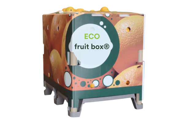 Eco fruit box